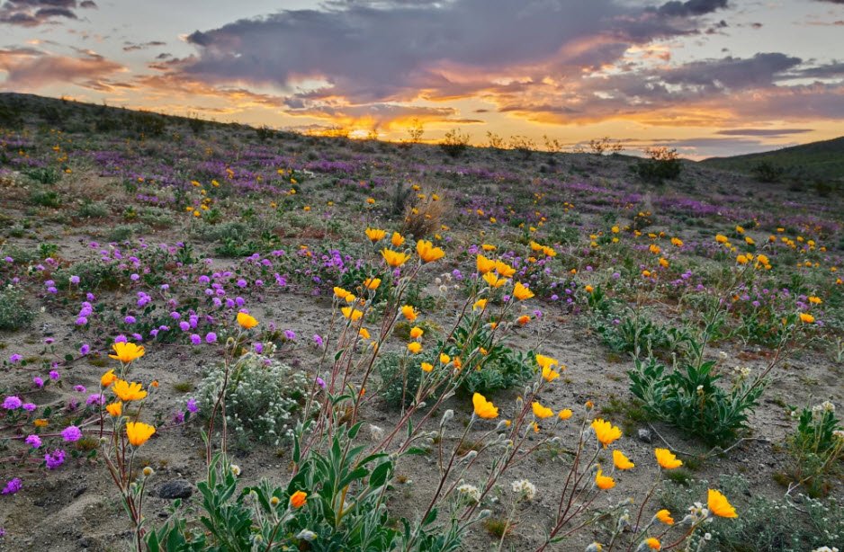 Ishxenta State Park, California, USA